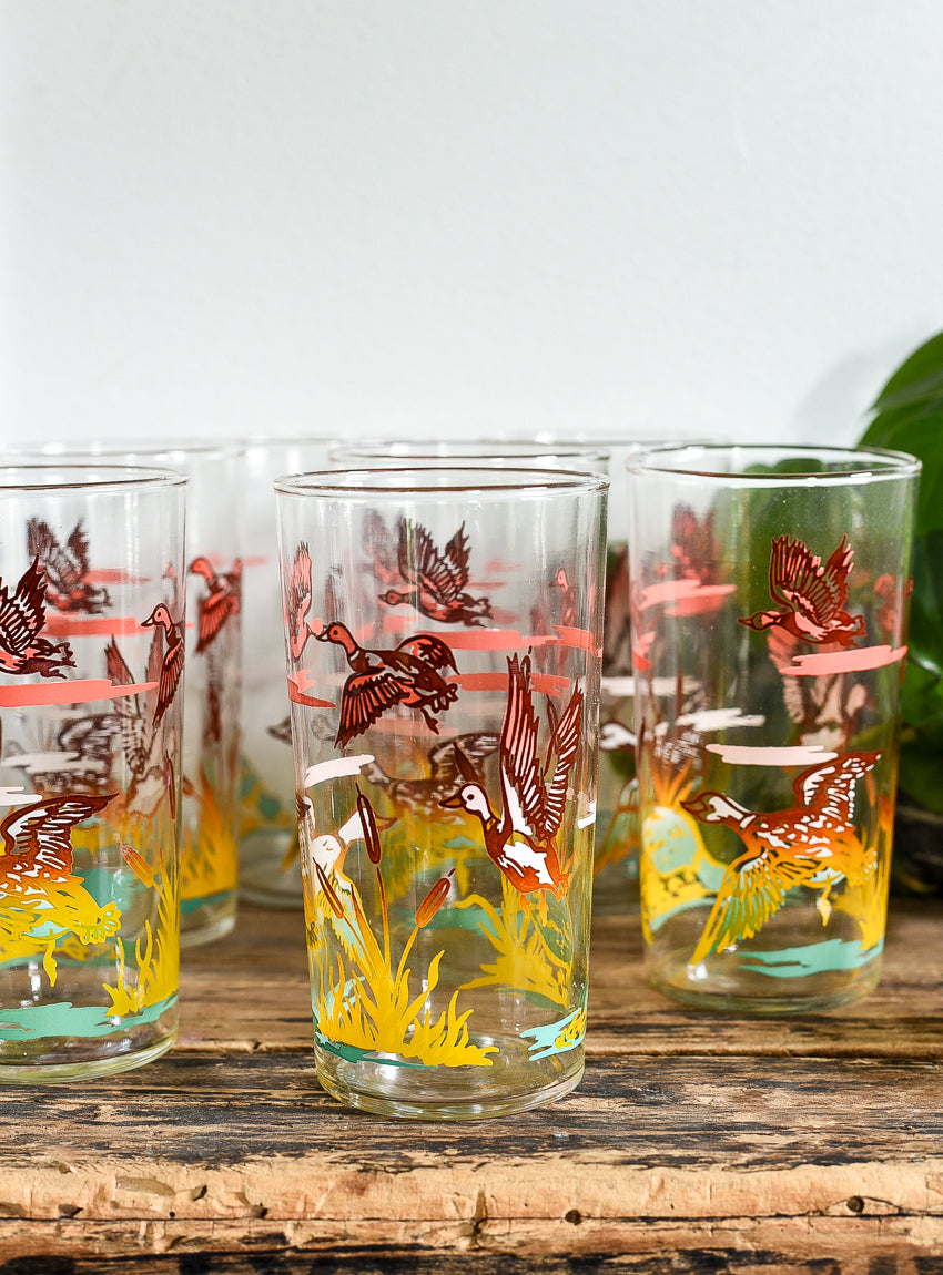 VINTAGE GAME BIRD GLASSES (4)