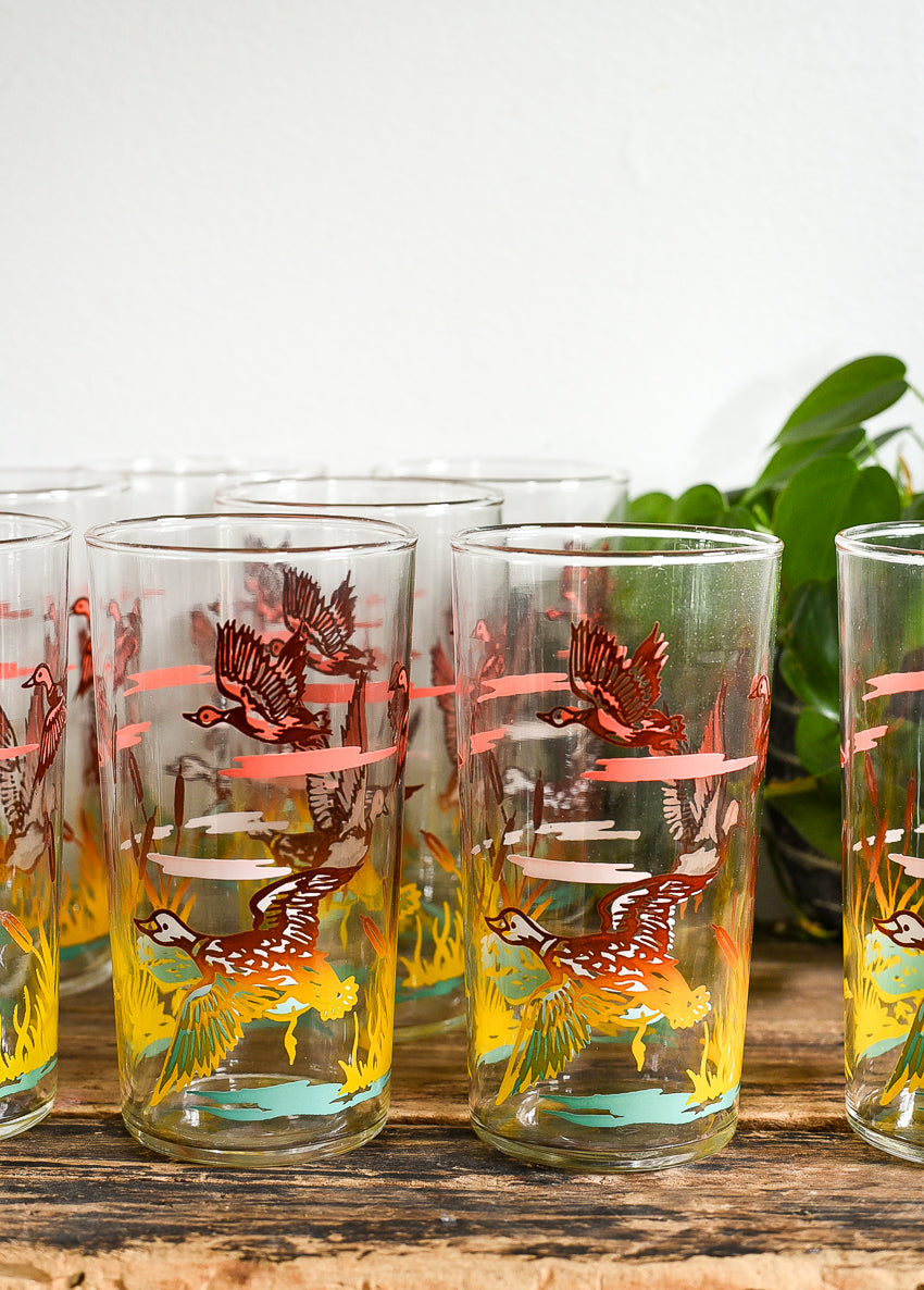 VINTAGE GAME BIRD GLASSES (4)