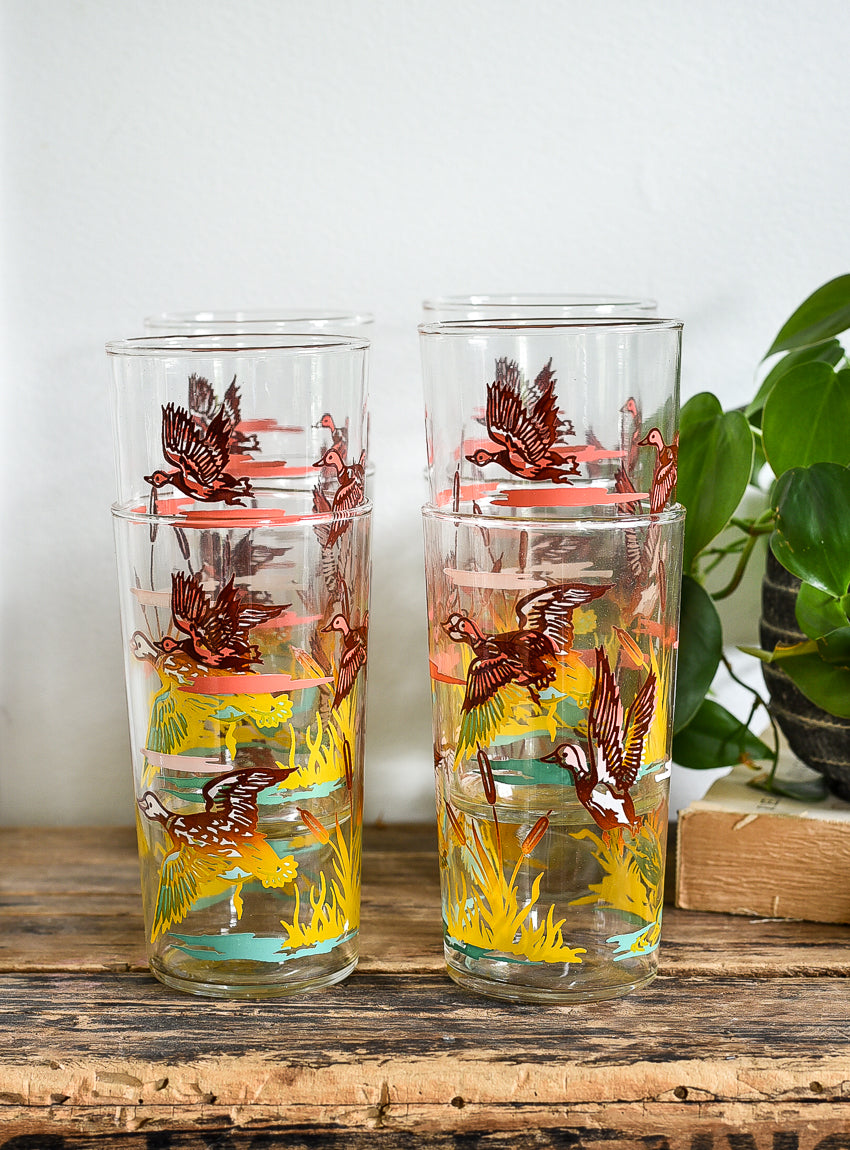 VINTAGE GAME BIRD GLASSES (4)