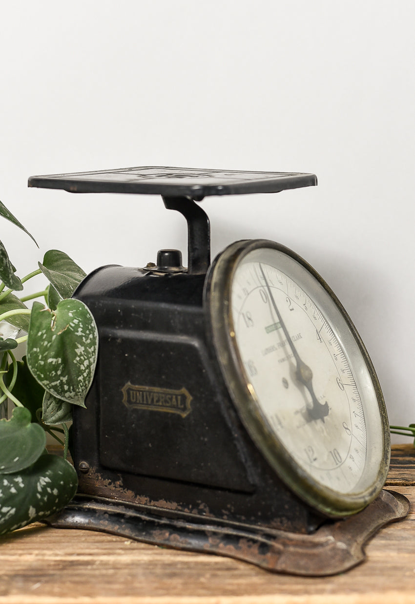 black-vintage-utility-scale