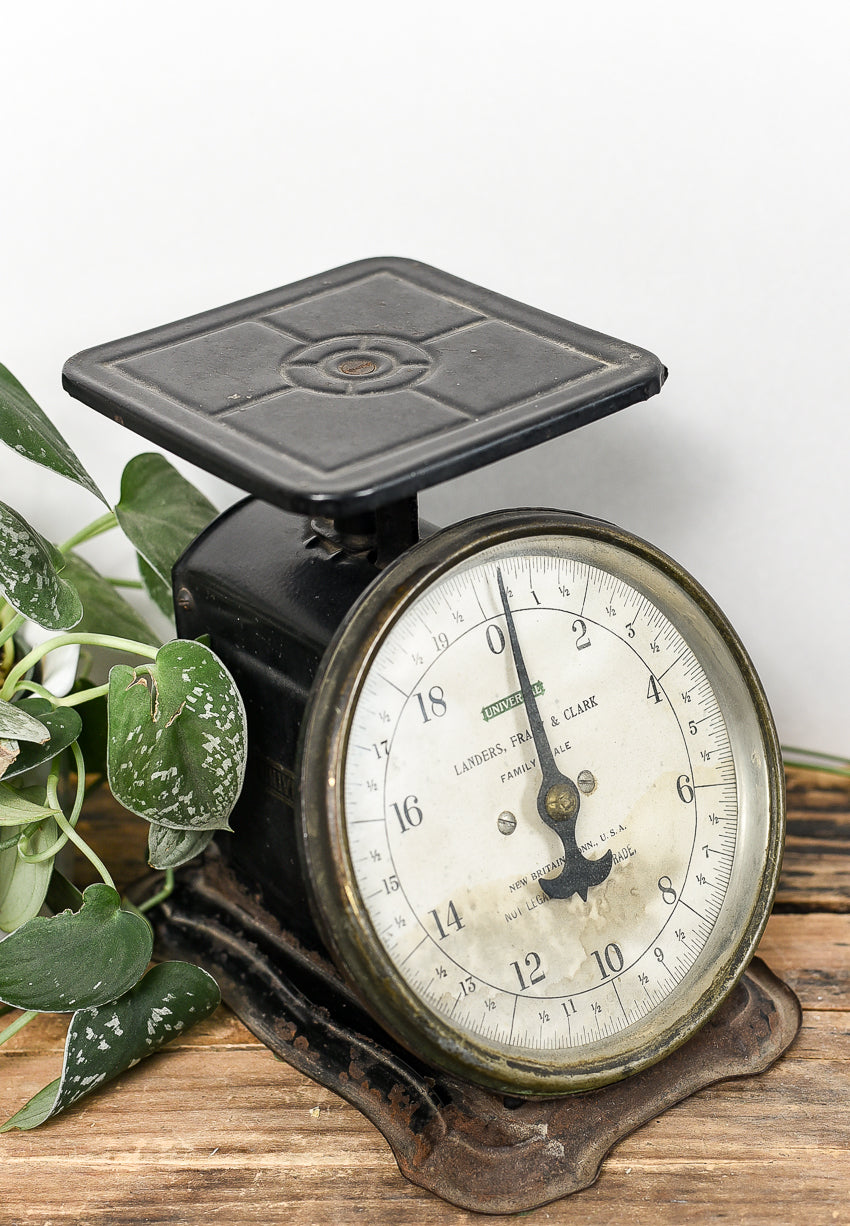 black-vintage-utility-scale