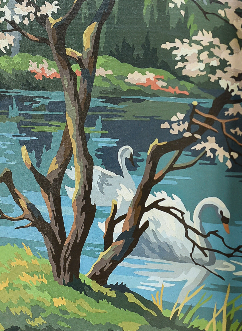 swan-paint-by-number