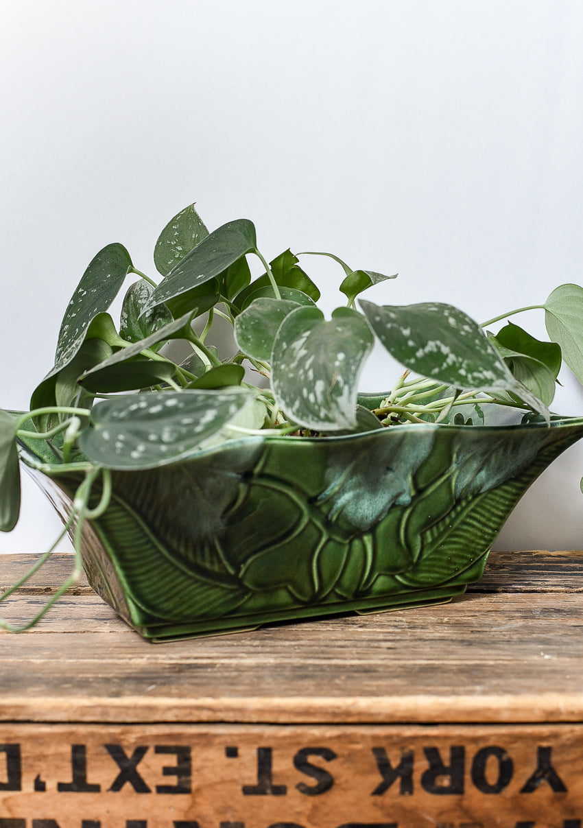 vintage-green-usa-pottery-planter