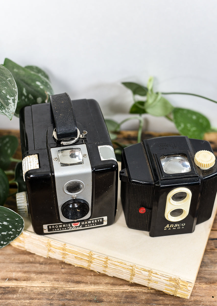 vintage-cameras