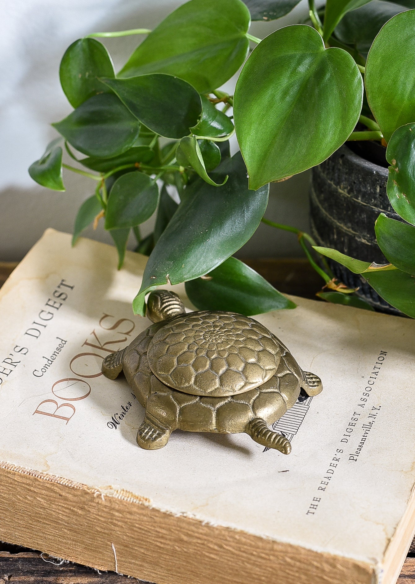 BRASS TURTLE WITH DETACHED LID