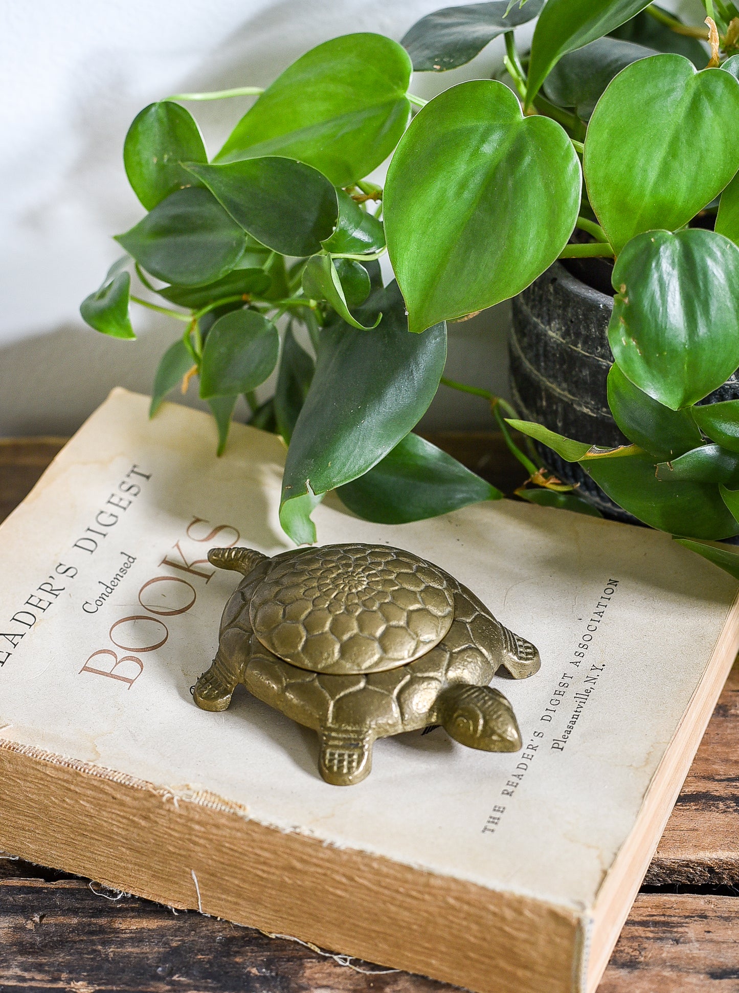 BRASS TURTLE WITH DETACHED LID