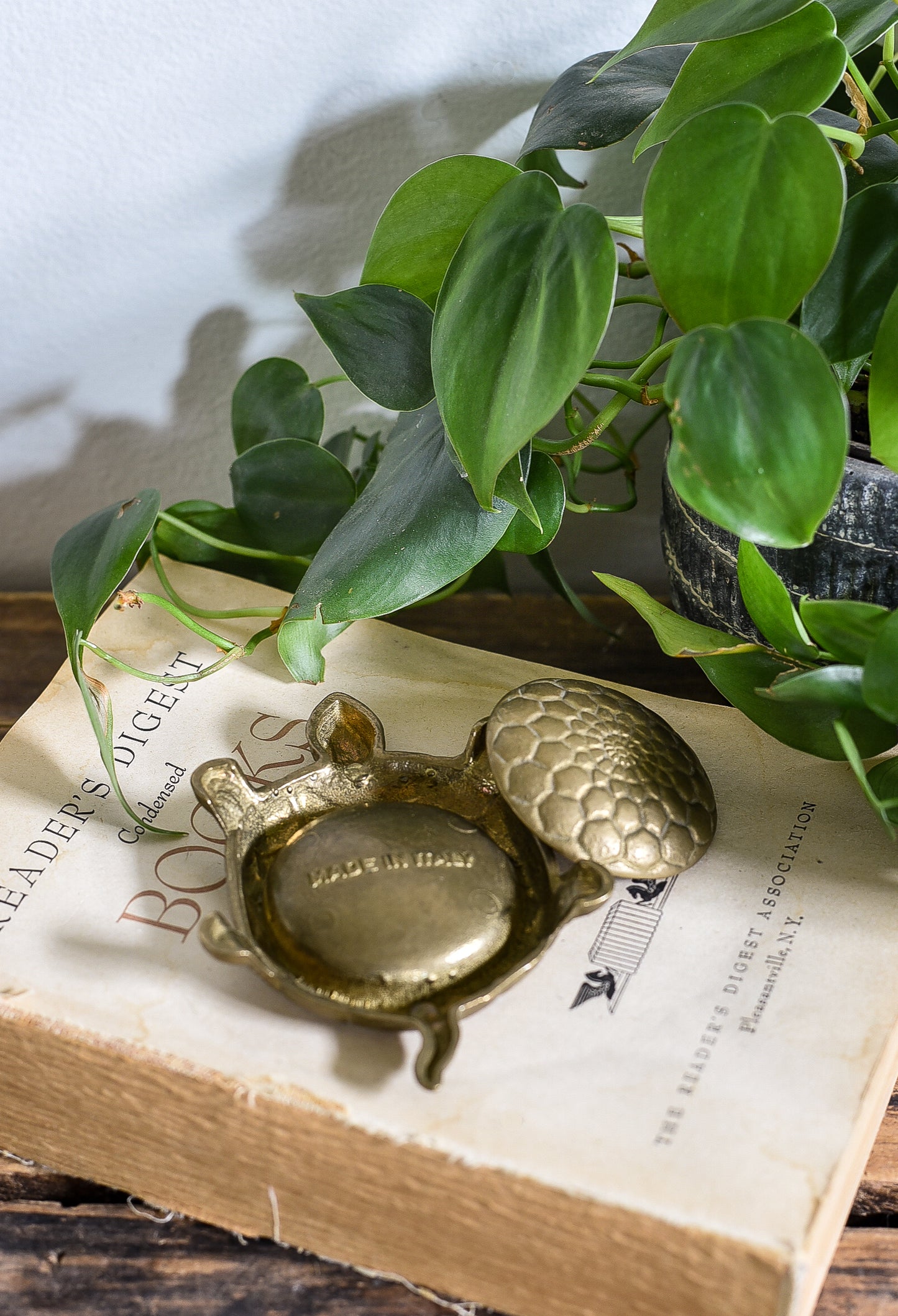 BRASS TURTLE WITH DETACHED LID