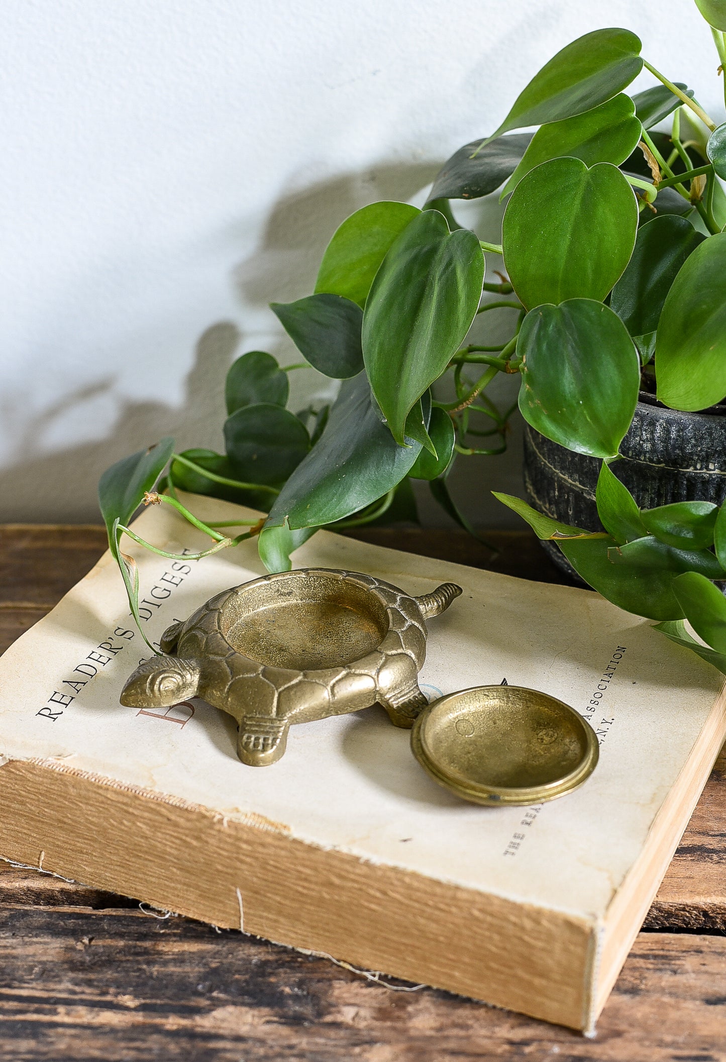 BRASS TURTLE WITH DETACHED LID