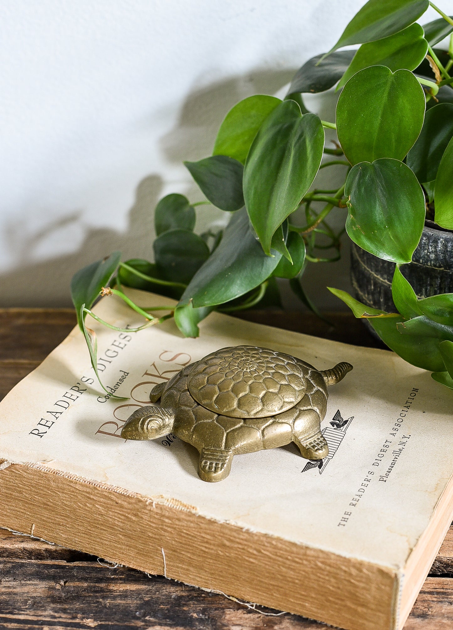 BRASS TURTLE WITH DETACHED LID