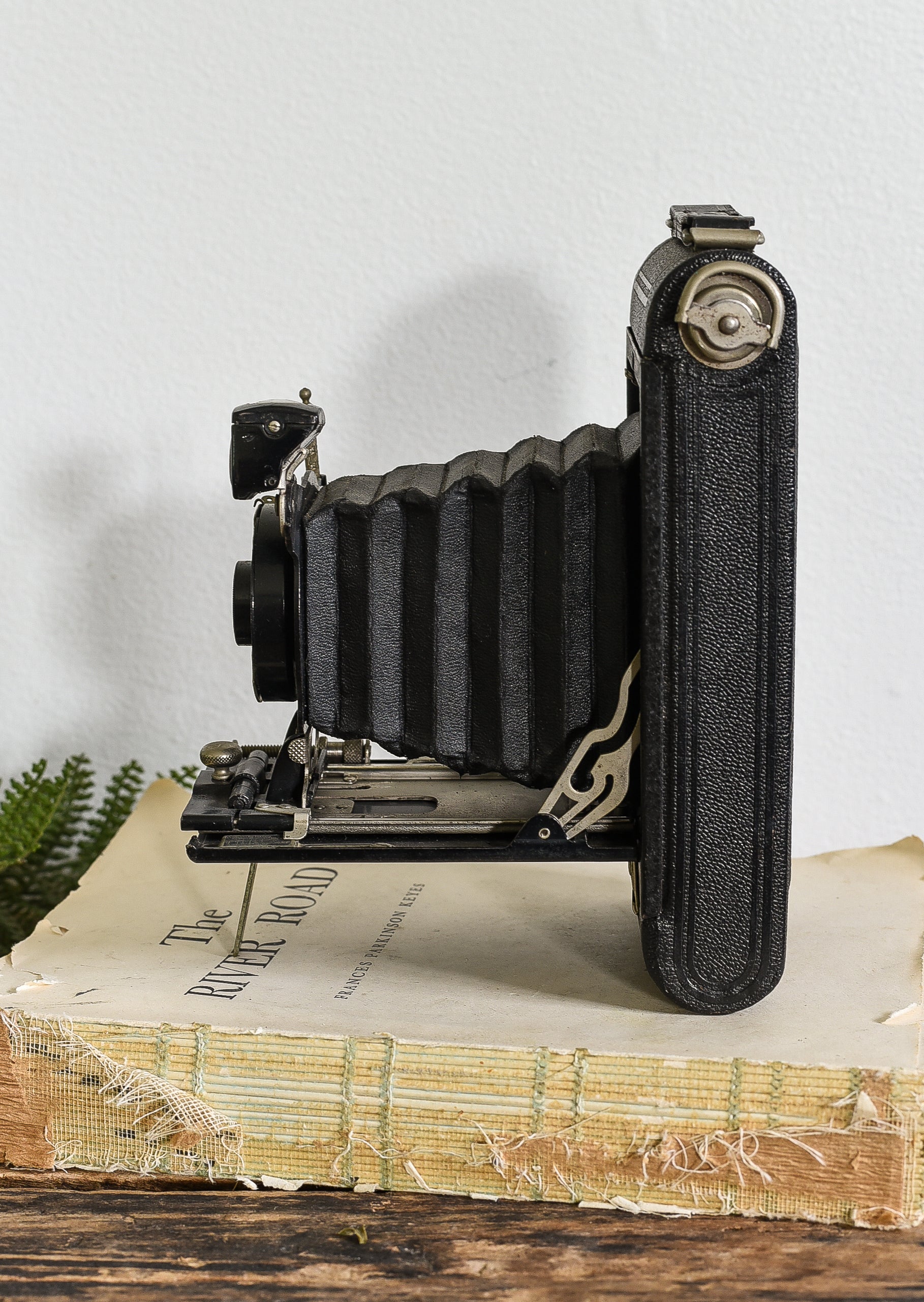 vintage folding kodak camera