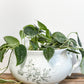 IRONSTONE TRANSFERWARE CHAMBERS POT