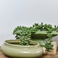 green-vintage-pottery-planter