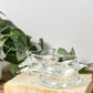 clear-crab-imperial-baking-dishes