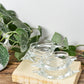 clear-crab-imperial-baking-dishes