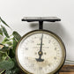 black-vintage-utility-scale