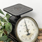 black-vintage-utility-scale
