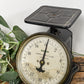 black-vintage-utility-scale