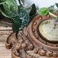 VINTAGE CONVEX FEDERAL SELSI BAROMETER