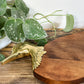 wood-brass-duck-cutting-board