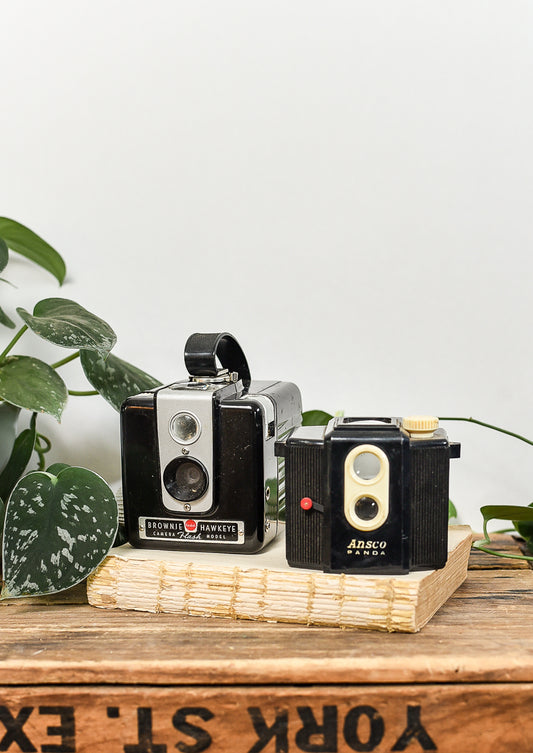 vintage-cameras