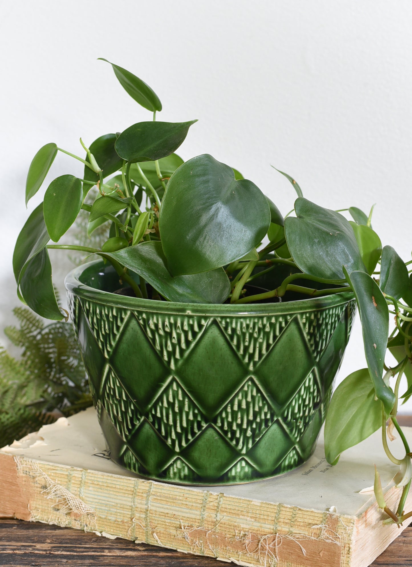 Floraline pottery planter